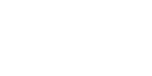 Save Lydia Ann Channel Logo